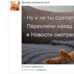 როგორ მოვახდინოთ VKontakte ჯგუფის დამოუკიდებლად პოპულარიზაცია?
